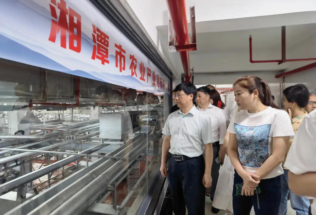 湖南“農(nóng)廣助農(nóng)”工程優(yōu)質(zhì)湘豬產(chǎn)業(yè)領(lǐng)軍人才培訓班在湘潭韶山舉辦(圖6) 湖南“農(nóng)廣助農(nóng)”工程優(yōu)質(zhì)湘豬產(chǎn)業(yè)領(lǐng)軍人才培訓班在湘潭韶山舉辦(圖6)