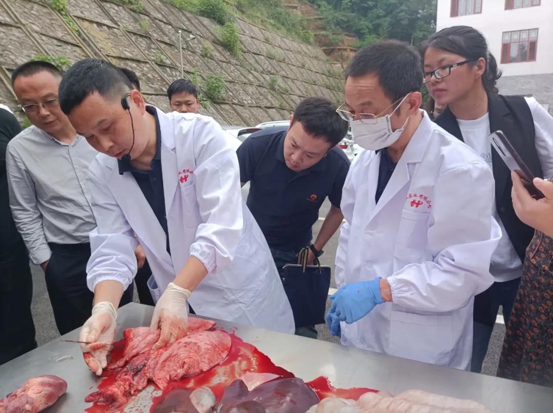 湖南“農(nóng)廣助農(nóng)”工程優(yōu)質(zhì)湘豬產(chǎn)業(yè)領(lǐng)軍人才培訓班在湘潭韶山舉辦(圖10) 湖南“農(nóng)廣助農(nóng)”工程優(yōu)質(zhì)湘豬產(chǎn)業(yè)領(lǐng)軍人才培訓班在湘潭韶山舉辦(圖10)