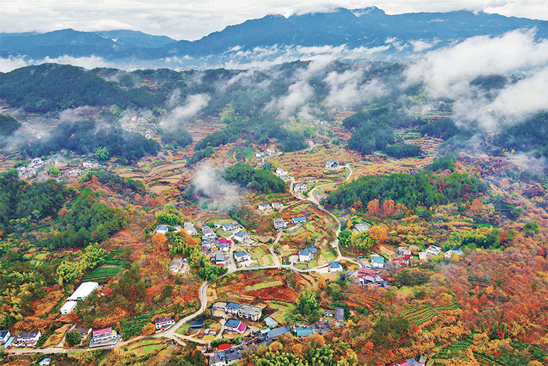 錨定建設(shè)農(nóng)業(yè)強國目標 切實抓好新時代新征程“三農(nóng)”工作--唐仁健(圖3)