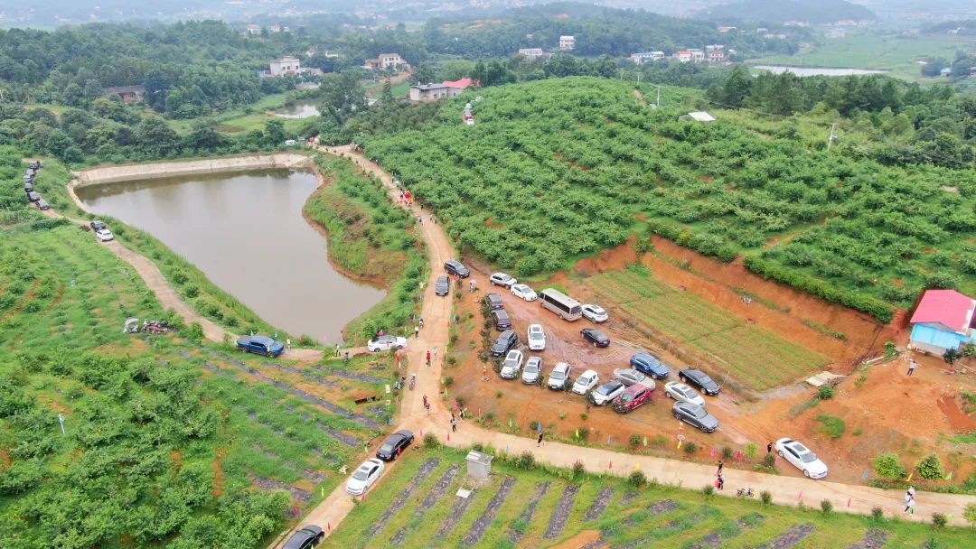 四清種養(yǎng)殖專(zhuān)業(yè)合作社(圖1)