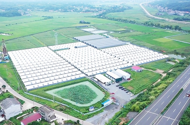 韶山韶河生態(tài)農(nóng)業(yè)科技有限公司(圖1) 韶山韶河生態(tài)農(nóng)業(yè)科技有限公司(圖1)