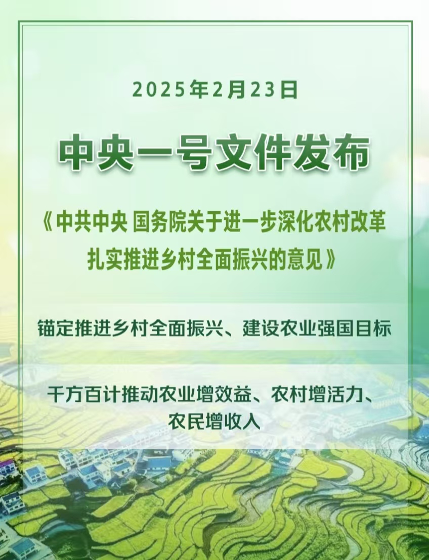 2025年中央一號(hào)文件發(fā)布提出扎實(shí)推進(jìn)鄉(xiāng)村全面振興(圖1)